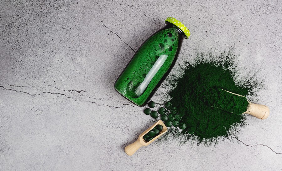 Quelle est la teneur en protéines de la spiruline ?