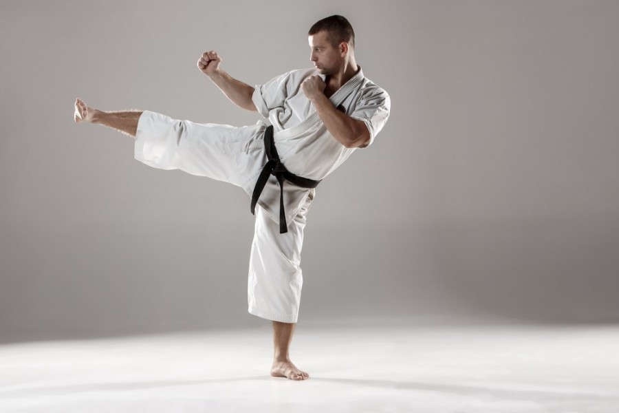 Quelles sont les techniques utilisées dans les arts martiaux japonais ?