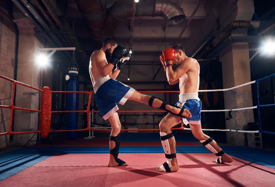 Quels sont les principaux champions de boxe actuels ?