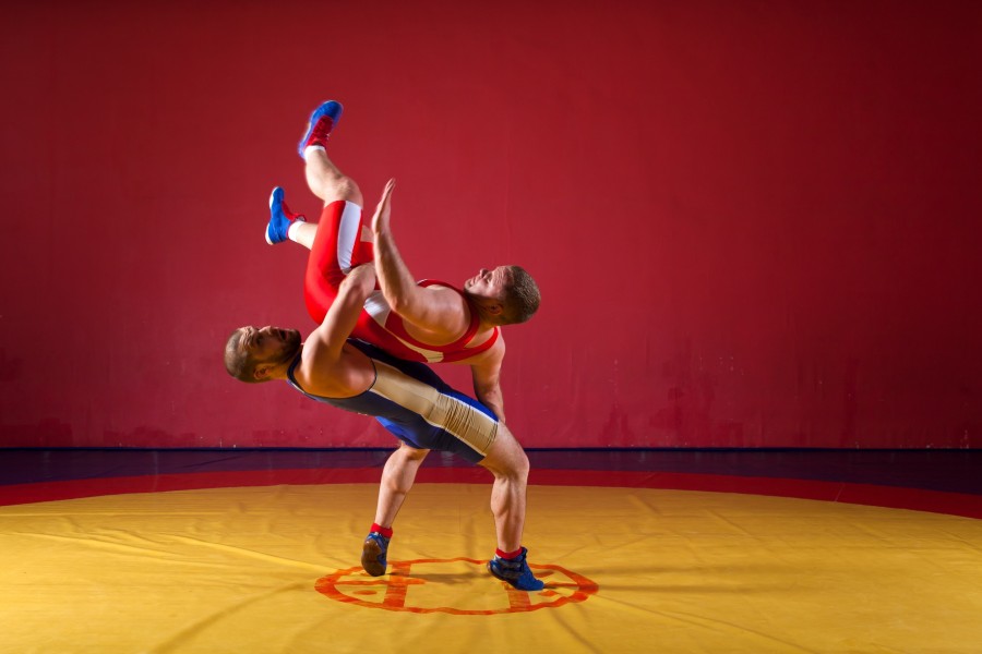 Qu'est-ce que le sambo combat ?